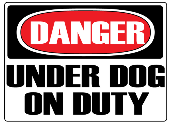 UD Sticker