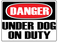 UD Sticker